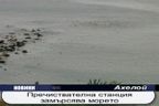 Пречиствателна станция трови морето