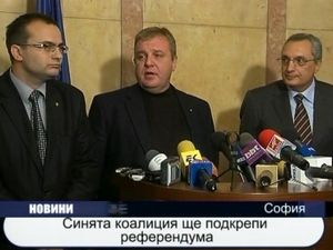 Синята коалиция ще подкрепи референдума