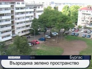 Възродиха зелено пространство