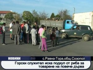 Горски служител поиска риба за товарене на повече дърва