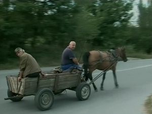 
Глоби и затвор за крадците на метали