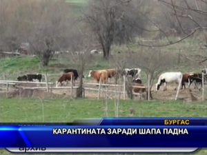 Карантината заради шапа падна