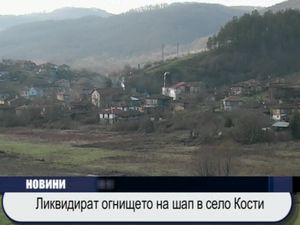 Ликвидират огнището на шап в село Кости