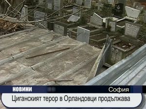 
Циганският терор в Орландовци продължава