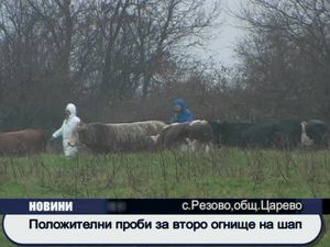 
Положителни проби за второ огнище на шап