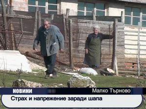 
Страх и напрежение заради шапа