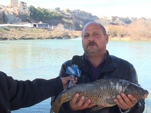 За риба на река Ебро