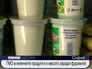 
ГМО в млечните продукти и месото заради фуражите