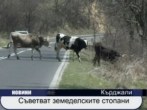 
Съветват земеделските стопани