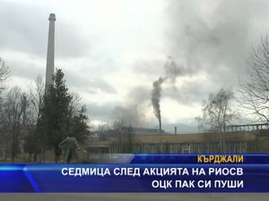 
Седмица след акцията на РИОСВ ОЦК пак си пуши