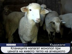 
Кланиците налагат монопол при цената на живото тегло на агнешкото