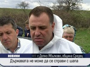 Държавата не може да се справи с шапа