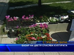 
Базар на цветя спасява културата