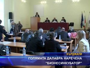 Голямата далавера наречена "Бизнес инкубатор"