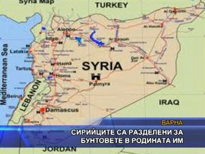 Сирийците са разделени за бунтовете в родината им