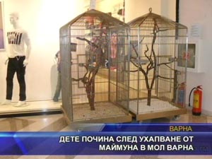 Дете почина след ухапване от маймуна в МОЛ Варна