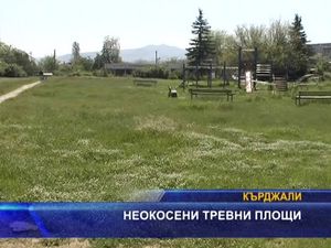 Неокосени тревни площи