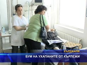 
Бум на ухапани от кърлежи