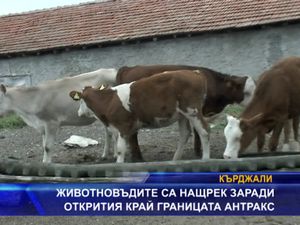 Животновъдите са нащрек заради антракса край границата