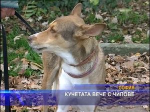 
Кучетата вече с чипове