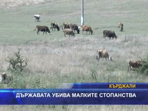 
Властта убива малките стопанства