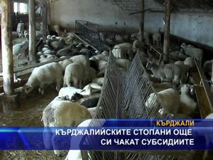 Кърджалийски стопани си чакат субсидиите