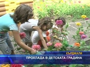 Прохлада в детската градина