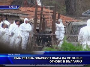 
Има реална опасност шапа да се върне в България