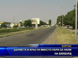 Дървета и храсти вместо пари за наем на билборд