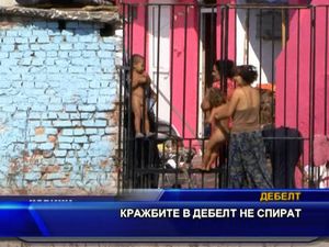 Кражбите в Дебелт не спират