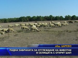 Падна забраната за отглеждане на животни в селищата с шап