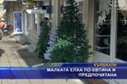 Малката елха по-евтина и по-предпочитана