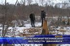 Цигани изсичат безнаказано местността "Джанавара"