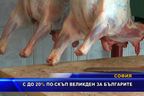 До 20% по-скъп Великден за българите