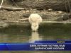 
Бяла нутрия гостува във варненския зоопарк