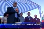 "Черешовата" кампания на ГЕРБ