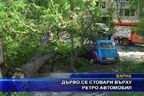 Дърво се стовари върху ретро автомобил