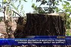 Изсякоха дърветата в Морската градина заради фестивала "Духът на Бургас"