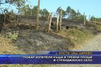 Пожар изпепели къща и тревни площи в странджанско село