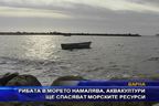 Рибата в морето намалява