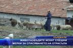 Животновъдите искат спешни мерки за спасяването на отрасъла