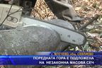  Поредната гора е подложена на незаконна масова сеч