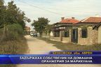  Задържаха собственик на домашна оранжерия за марихуана