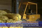 Цената на картофите ще достигне един лев за килограм