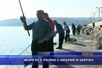  Морето е пълно с илария и зарган