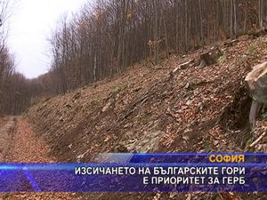  Изсичането на българските гори приоритет за ГЕРБ