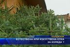  Естествена или изкуствена елха за Коледа?