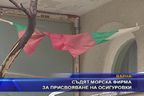  Съдят морска фирма за присвояване на осигуровки