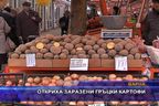 Откриха заразени гръцки картофи