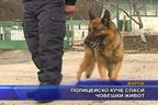  Полицейско куче спаси човешки живот